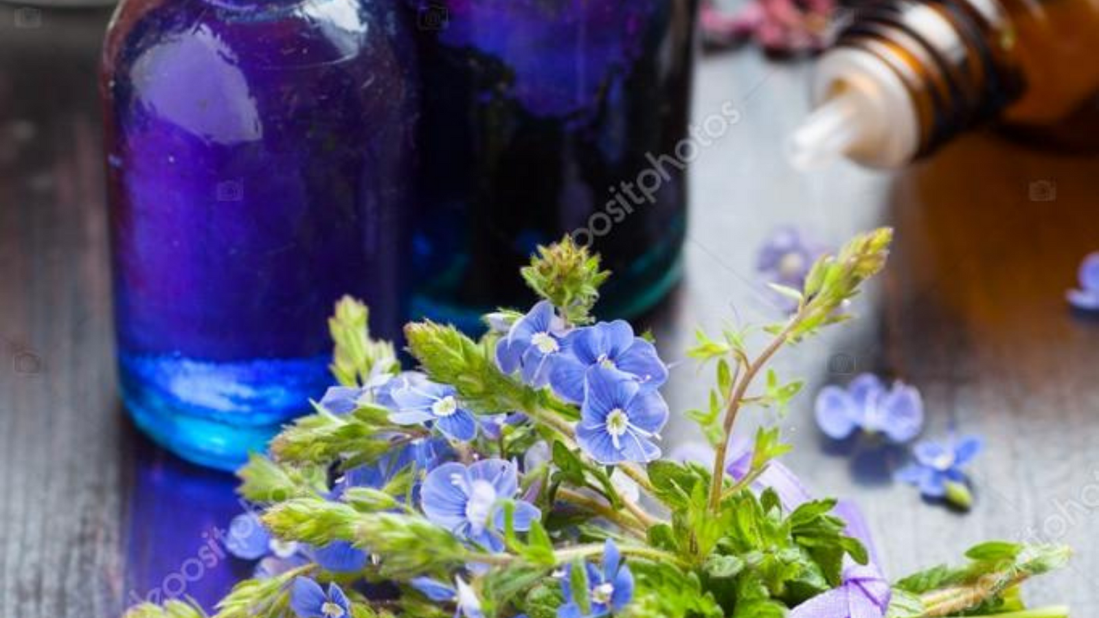 The Blue Oils