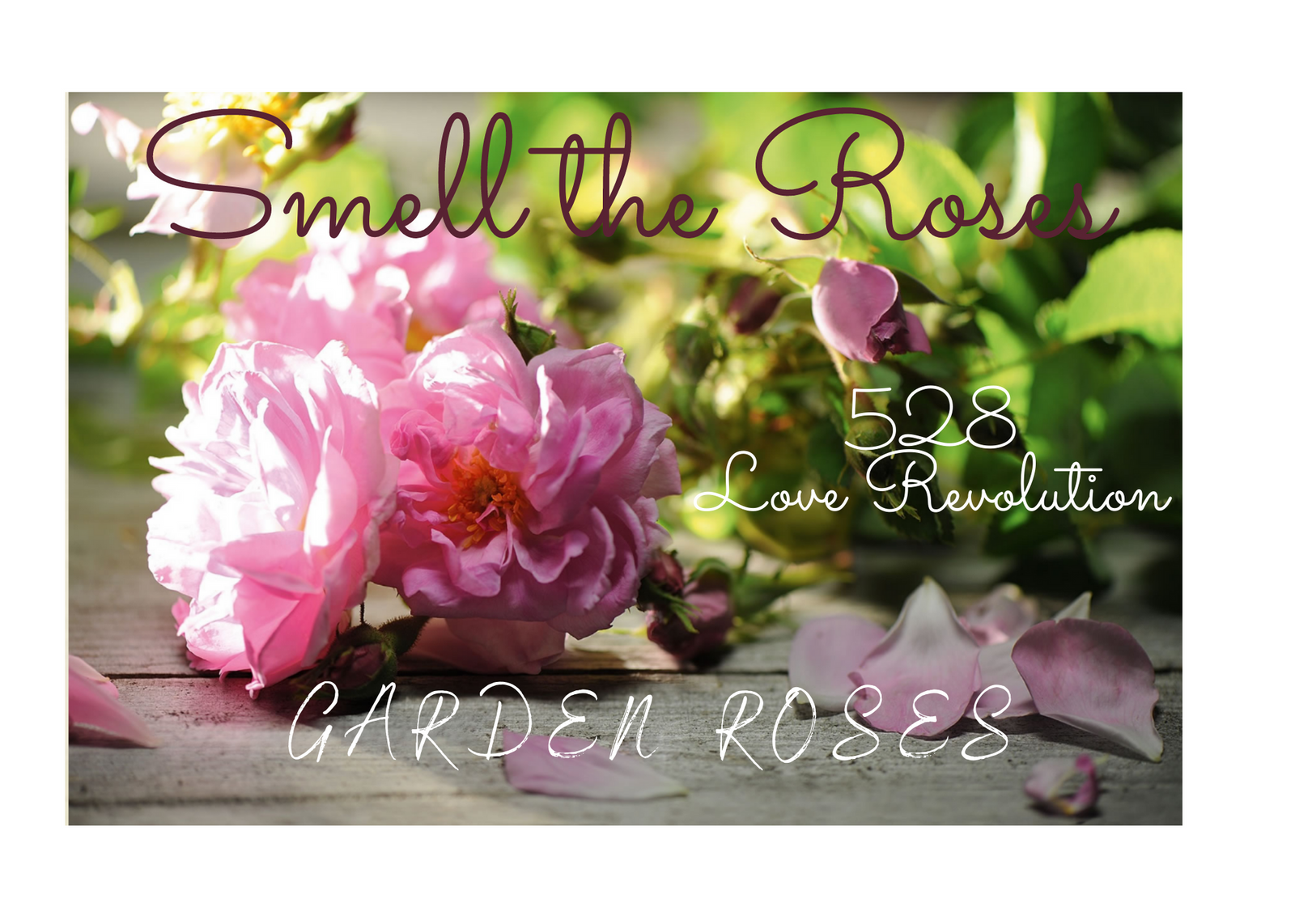 Share the Love Revolution