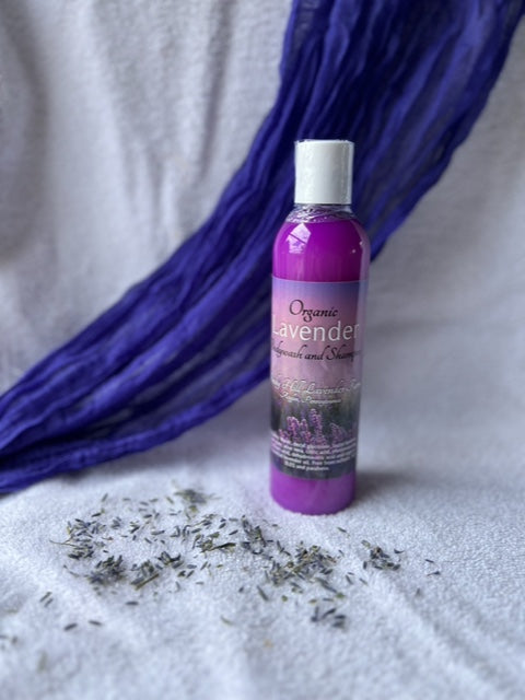 Organic Lavender Body Wash & Shampoo
